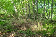 metsa_korrastamine_6