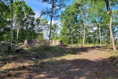 metsa_korrastamine_8