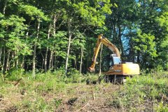 metsa_korrastamine_9